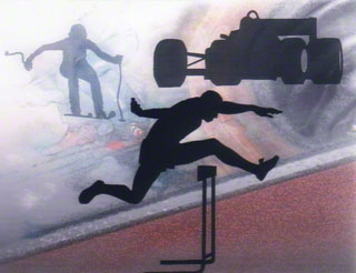 sports7
